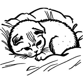 'Scottish Fold Cat' Rubber Stamp - Unmounted Design for Crafting & Scrapbooking, A8 (RS00054150)