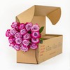 BloomsyBox Count Your Blushes - 18 Magenta Roses, Long Lasting