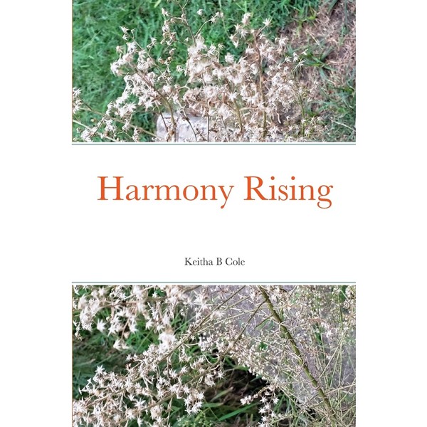 Harmony Rising