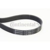 CONTITECH 6PK1075 V-Ribbed Belt