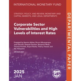 Corporate Sector Vulnerabilities and High Levels of Interest Rates (IMF Departmental Papers)