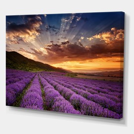 DesignQ Sunrise & Dramatic Clouds Over Lavender Field X Farmhouse Canvas Wall Art Purple 32x24