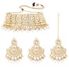 Aheli Faux Pearl Choker Necklace with Earrings Indian Traditional Bollywood