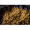 Mayocoba Peruano Dry Beans Frijoles | Bulk (4 Pounds)