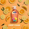 Softsoap Softsoap Antibacterial Liquid Hand Soap, Crisp Clean Scent Hand