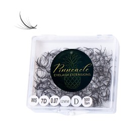 500 Fans | Wispy Promade Fans for Eyelash Extensions | Premade Spikes + Volume Fans | Made in Vietnam | Handmade Fans Lashes For Professional Lash Artists | Pinneacle Lash (Wispy | 7D | D | 12mm (Spike 14mm))