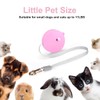 AIMALL 2M Automatic Retractable Pet Leash - Strong and Durable
