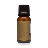 Snickerdoodle Premium Grade Fragrance Oil - 10ml - Scented Oil