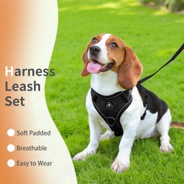 Jolifield No Pull Dog Harness with Leash Set for Small Sized Dog, Reflective Adjustable No Choke Front Clip Cat Vest Harness with Breathable Mesh, Comfortable Soft Padded Pet Vest, Black M