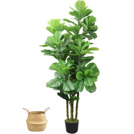 6ft Artificial Fiddle Leaf Fig Tree in Pot,Faux Fiddle Leaf Fig Tree,Large Artificial Tree for Living Room Office Home Decor and Housewarming Gift (1 Pack)
