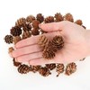 com-four® 200 x Decorative Cones Larch - Cones Decoration for