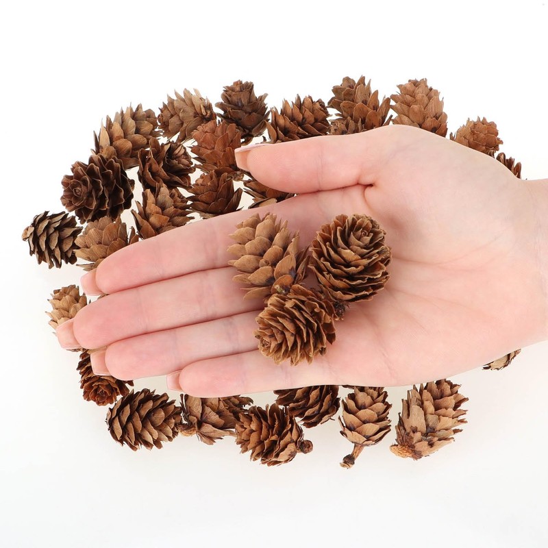 com-four® 200 x Decorative Cones Larch - Cones Decoration for