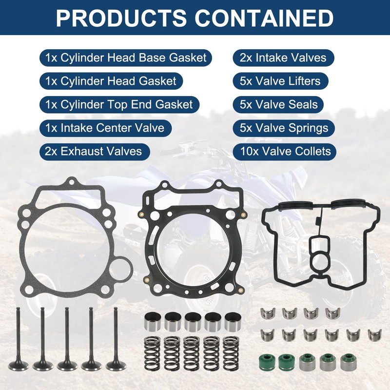 Cylinder Head Exhaust Intake Valve & Spring Gasket Kit Compatible