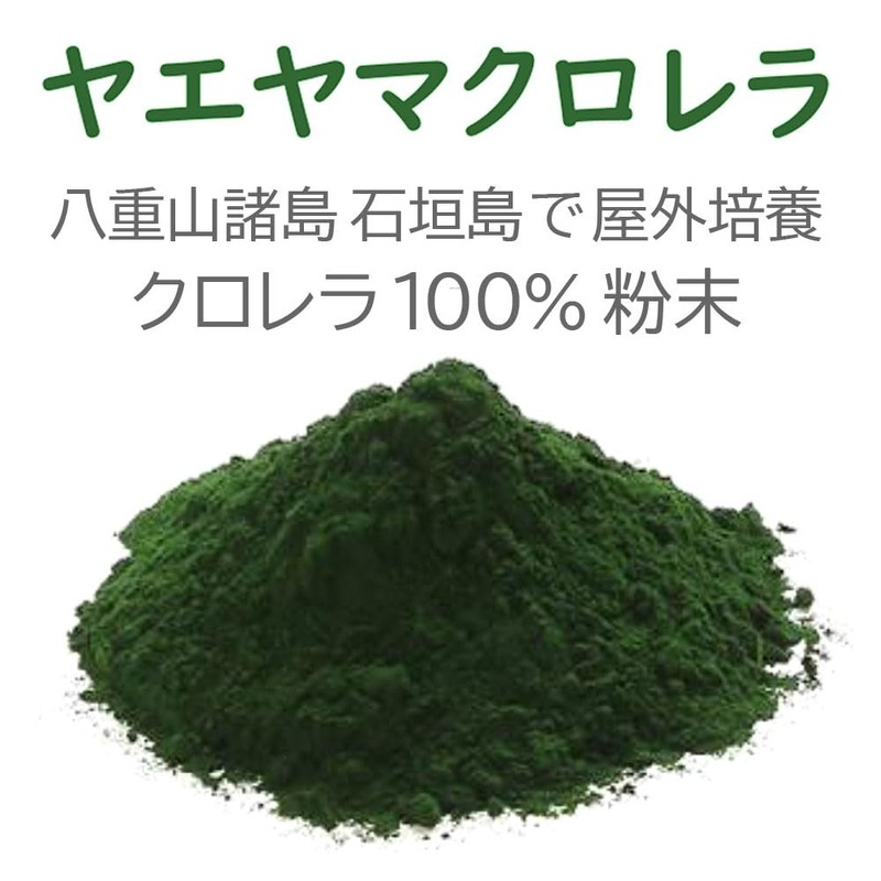 ヤエヤマクロレラ 100% 粉末 100g