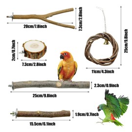 Allazone 10 PCS Natural Parrot Perch Bird Cage Accessories, Bird Platforms, Wood Stands, Grinding Fork Parakeet Platform for Small Lovebirds Budgies Cockatiels