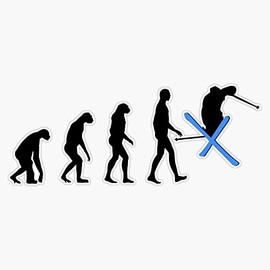 Evolution Ski Bumper Sticker Vinyl Decal 5 inches