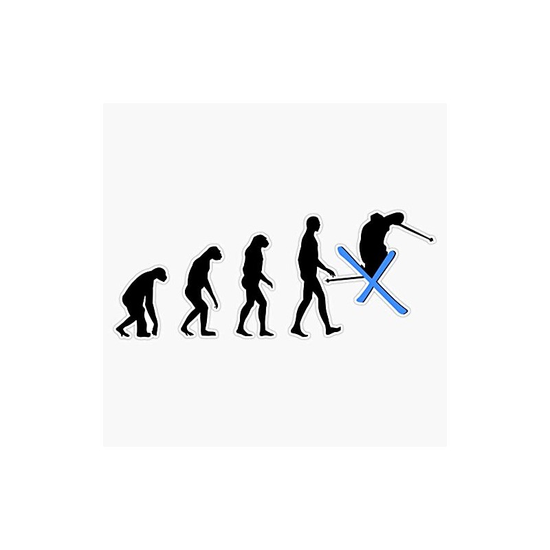 Evolution Ski Bumper Sticker Vinyl Decal 5 inches