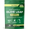 Olive Leaf Extract Capsules 20,000mg | Wild European 20% Oleuropein