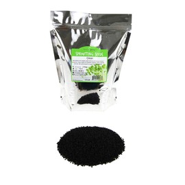 Onion Sprouting & Microgreens Seeds – 2 Lb – Non-GMO, Chemical-Free – High-Germination Seeds for Fresh Onion Sprouts, Flavorful Micro Greens, Hydroponic Growing, and Indoor Gardening