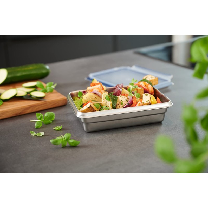 Emsa N11505 Clip & Close Stainless Steel Food Storage Container,