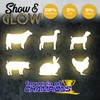Kalmbach Feeds Formula Of Champions Show And Glow, 50 Lb