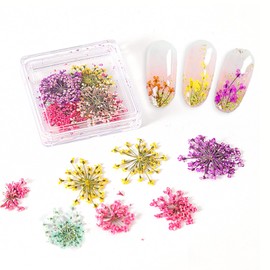 XEAOHESY 4 Boxes Real Natural Dried Flowers for Nails Tiny Flower Petals Nail Stickers Colorful Dried Flowers Nail Art Decals Real Dry Flower for Women