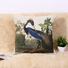 Topyee Throw Pillow Cover 20x20 Inch Audubon Blue Louisiana Heron Bird Drawing Nature Vintage Home Decor Pillowcases Square Pillow Cases Cushion Covers for Sofa Couch Bed