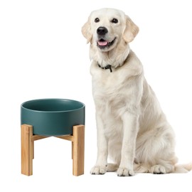 Raised Ceramic Large Dog Bowl - Heavy Weighted Dog Dish with Bamboo Stand - Elevated for Comfortable Feeding - 8.3" W x 8" H - 4.5 Cups (68 fl oz) - Green
