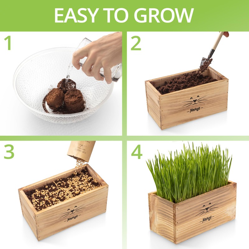 Cat Grass Kit for Indoor Cats – x4 Seed Packets