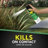 Raid House & Garden Bug Killer Aerosol Kills Bugs on
