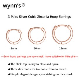 wynn's Silver Hoop Earrings for Women, 925 Sterling Silver Hoop Earrings with Cubic Zirconia, Small Sleeper Huggie Hinged Hoops Earrings for Ladies Girls, Hypoallergenic Rose Gold Hoop Earrings Se