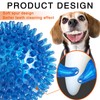 Supecesorio Squeaky Dog Toy Balls, 3 Pack 6.5CM Spike Ball