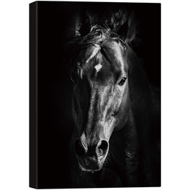 SIGNWIN Canvas Wall Art Headshot of a Black Horse Animals Wildlife Photography Modern Art Traditional Portrait Dramatic Black and White for Living Room, Bedroom, Office - 16x24 inches