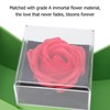 Rose Jewelry Box Apple Rose Shape Acrylic Jewelry Gift Box