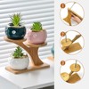 AKONE Cactus Planter Succulent Pot Bamboo Tray