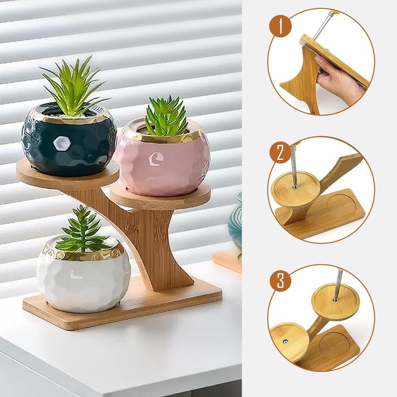AKONE Cactus Planter Succulent Pot Bamboo Tray
