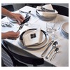 IKEA Dragon 20-Piece Flatware Set, Stainless Steel