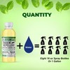Mighty Mint Peppermint Oil Rodent Repellent Concentrate – Natural Indoor