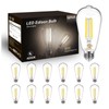 DAYBETTER 12 Pack Vintage LED Edison Bulbs, E26 Led Bulb