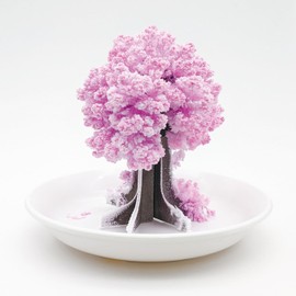 Chatani 39-385 Cherry Blossom Blooming Object/Cherry Blossom Capital (W x D x H): 4.7 x 4.7 x 3.3 inches (12 x 12 x 8.5 cm), Made in Japan