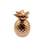 speed mao Ceramic Pineapple Shaped Coin Bank Pink Gold