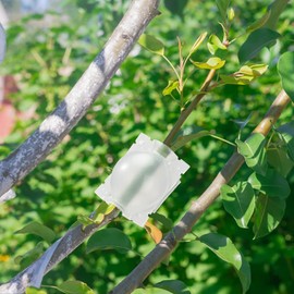 [Set of 18] Plant Rooting Box, Grafting Equipment, High Pressure Breeding Ball, Grafting Plant Root Controller, Plastic Plant Root Growing Box, High Pressure Propagation Ball, Cutting, Reusable, Growing and Breeding Case