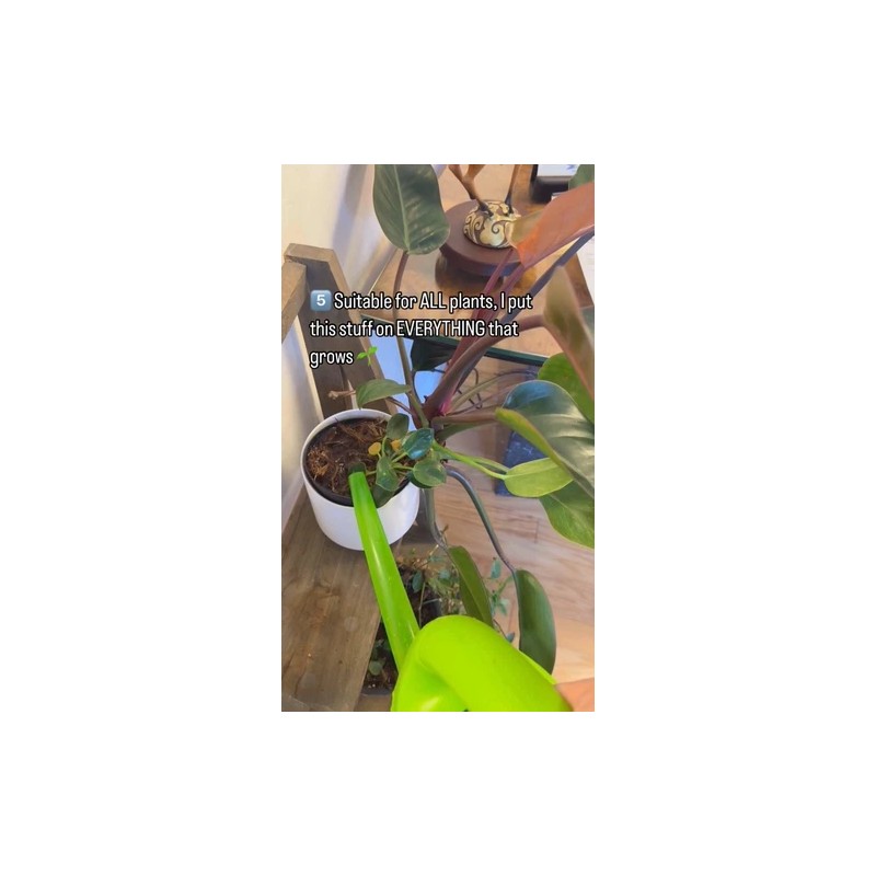 Grower's Secret Nitrogen 16-0-0 • Organic • Readily Available For