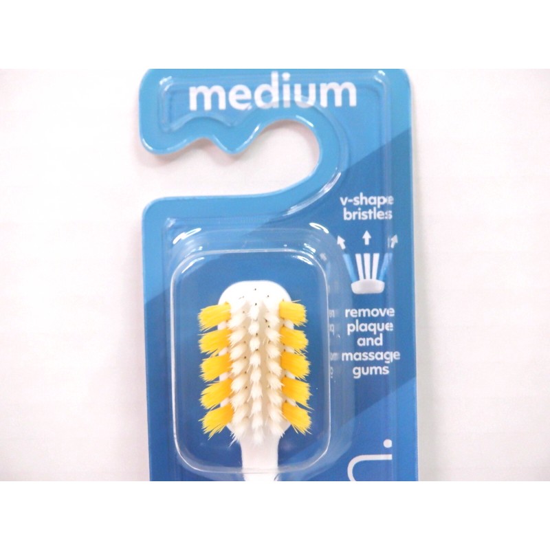 World Wide Daily Toothbrush MEDIUM - 12 Pack XL Tapered