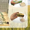 가정 식사 대용 새싹보리 검은콩 미숫가루 스틱 간식 명절 추석