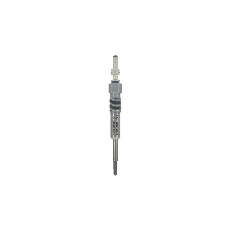 Beru AG BERU CGP002 Glow Plugs