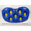 R-Com RCOM Mini 7 Quail Egg Tray for Mini incubators