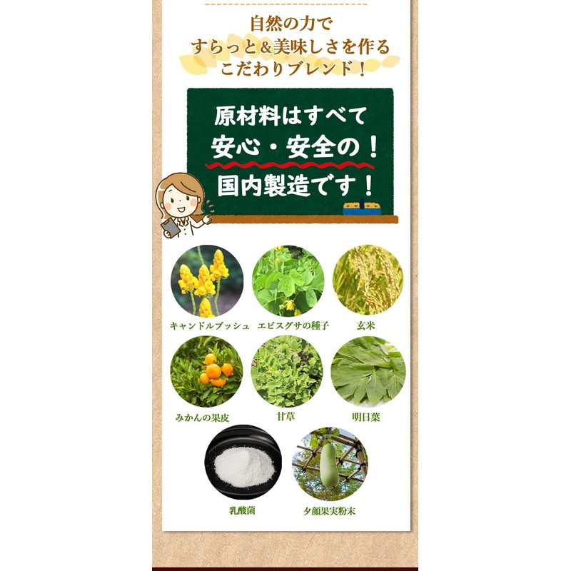 厳選ハーブ配合 エナジー すらっと爽快茶 20包 キャンドルブッシュ配合 ノンカフェイン 茶師監修 健康茶