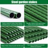 Mininfa Steel Plant Stakes 4 Feet, Plastic Coated Metal Garden
