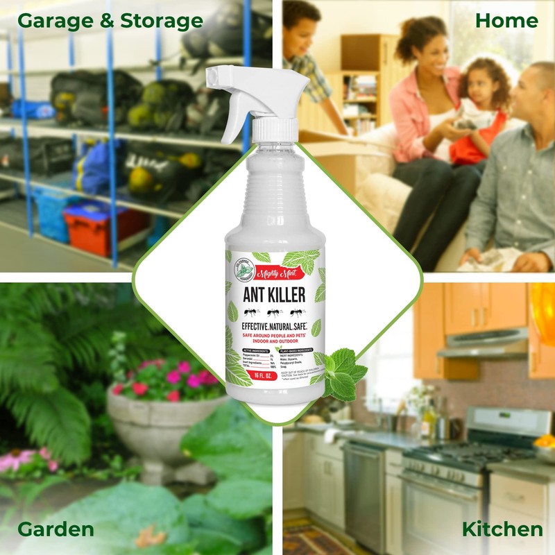 Mighty Mint Peppermint Oil Ant Killer Spray – Natural Ant